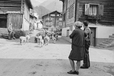 Vernissage Fotoausstellung "Ursula Heller" in Brigels (gdl_932081699_image)