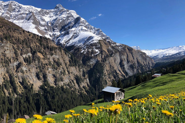 Naturpark-Tour bei den Walsern im Safiental (gdl_932081747_image)