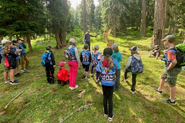 27th Forest Olympics 2026 (gdl_932111532_image)