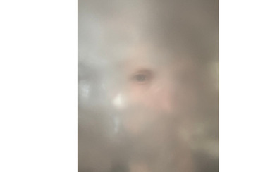 BUBBLES #4.1: Roland Signer – Autopoiesis (gdl_932543928_image)