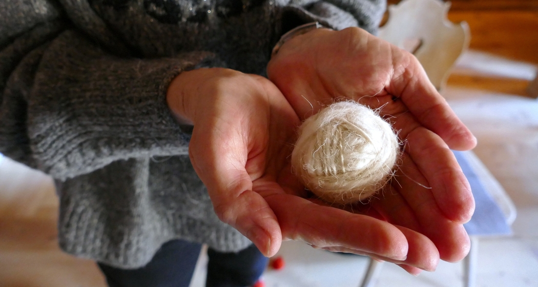 Alles spinnt! (gdl_932554670_image)