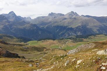 Schatzinsel Alp Flix: Wissenstransfer (gdl_932943972_image)