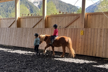 Discover horses - taster course for children (gdl_933824686_image)