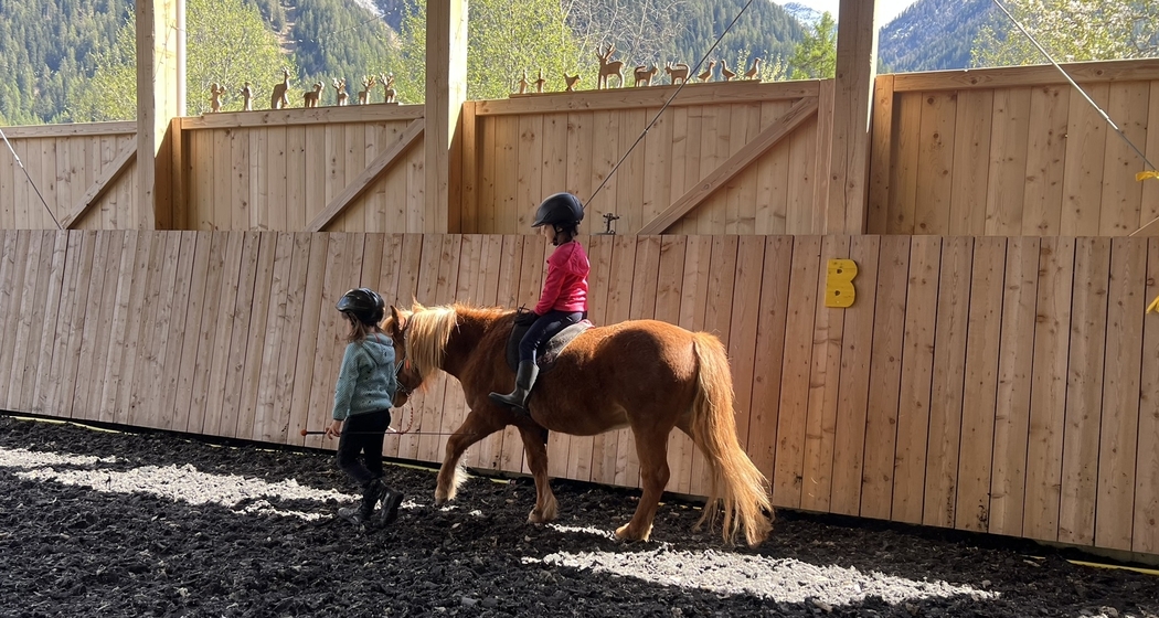 Pferde entdecken - Schnupperkurs für Kinder (gdl_933824686_image)