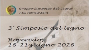 Simposio del legno (gdl_933855367_image)
