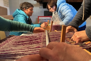 Presentazione percorso didattico "Esperienza lana - Dalla pecora al tessuto" (gdl_933874389_image)