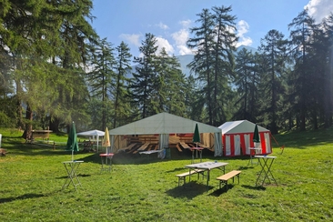 Transer Waldfest (gdl_934042380_image)