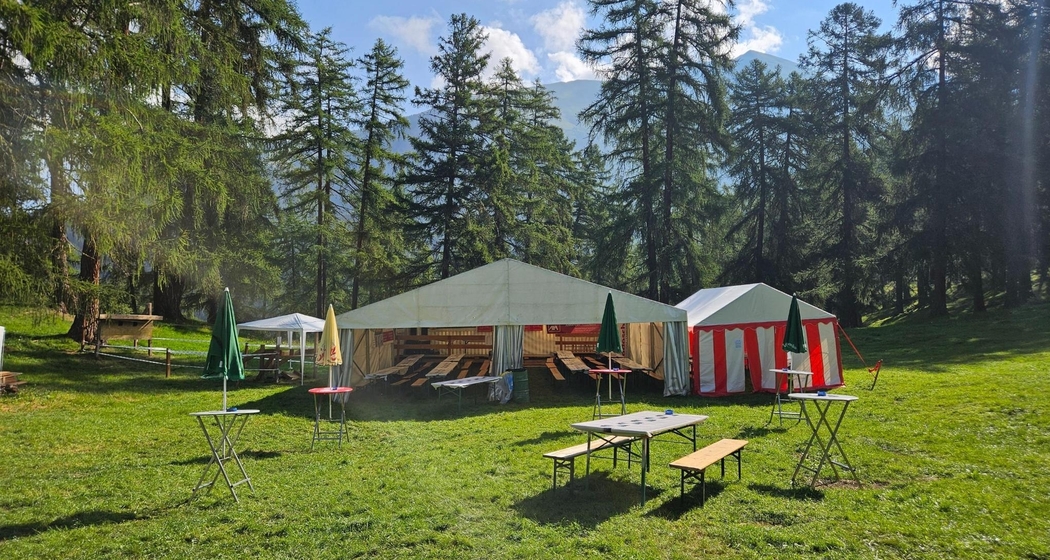 Transer Waldfest (gdl_934042380_image)