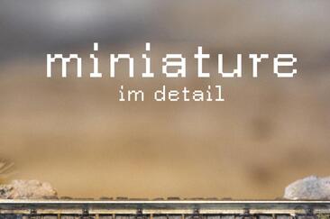 Eröffnung Sonderausstellung "miniature im detail" (gdl_934213268_image)