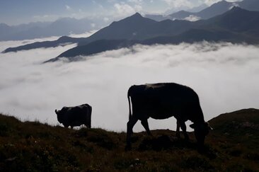 1. August-Brunch: Alpen Larein / Nova (gdl_934378460_image)