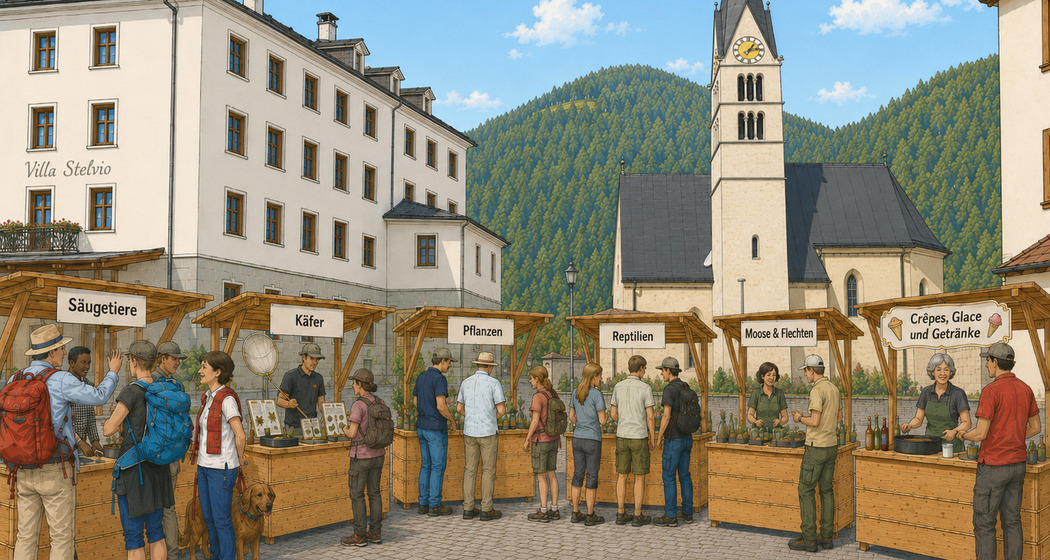 Markt der Natur - copyright Biosfera Val Müstair (KI)