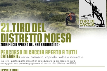 Flyers Tiro