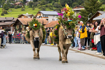 Scargada Brigels