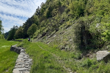 20210518 NaturVerbindet Schotsch Cilgia (17)