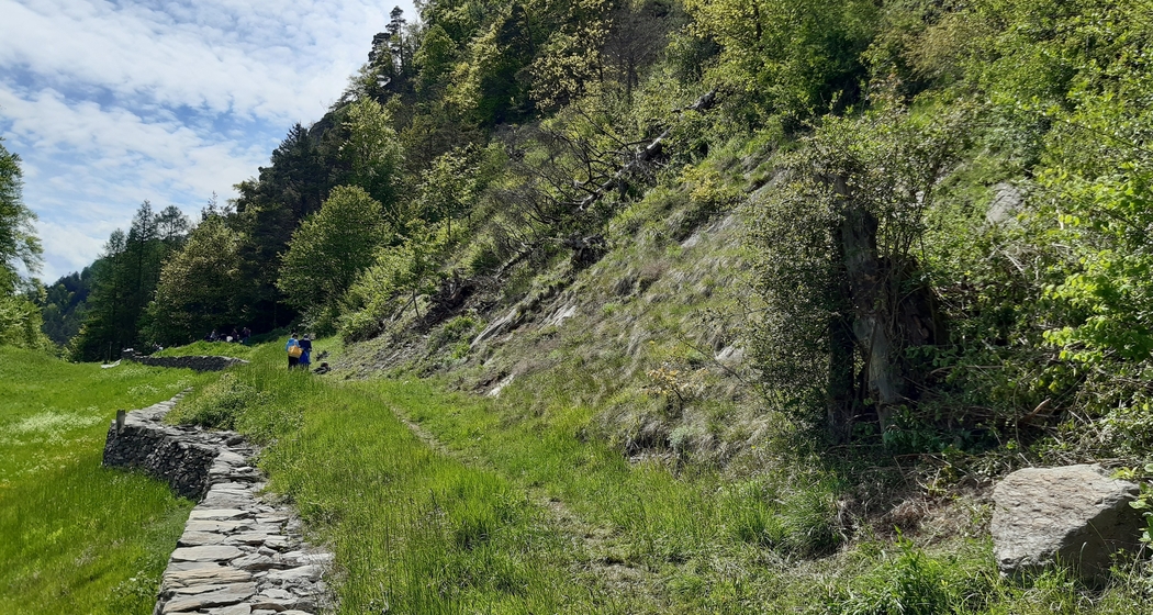 20210518 NaturVerbindet Schotsch Cilgia (17)