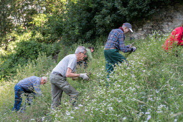 Freiwilligeneinsatz2020 NeophytenAde ullmann photography PRINT 8