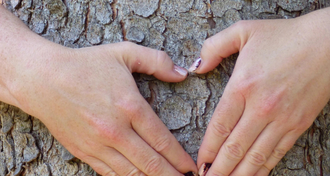 Baum mit Hand in Form von Herz