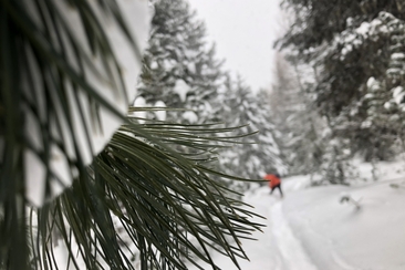 2026 Cembro Winterwanderung