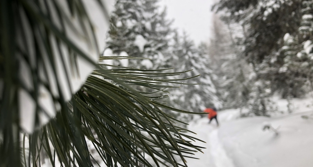 2026 Cembro Winterwanderung