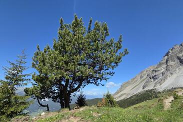 Landschaft