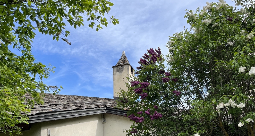 Hildesheimer2