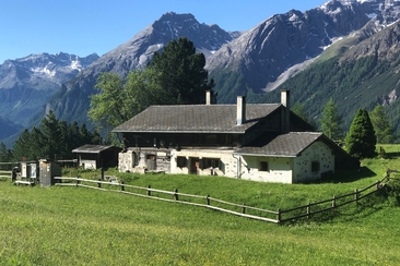 Heidihütte 2022