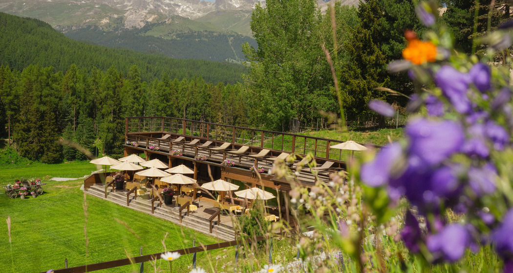 Grill und kulinarische Genüsse im Pavillon
