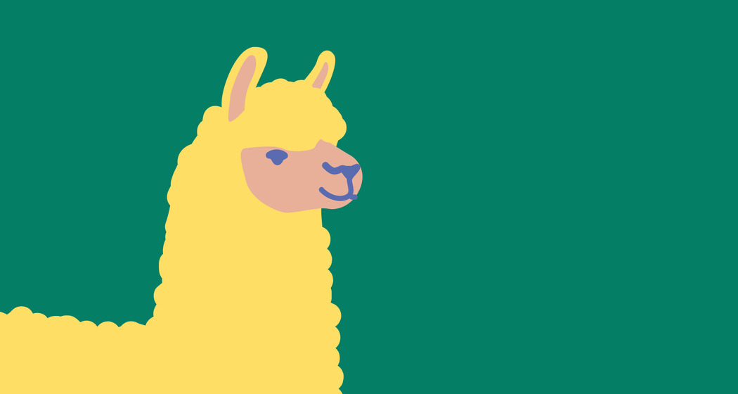 Img alpaca