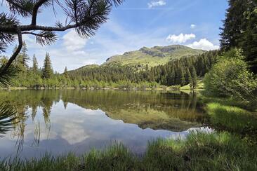 Bergsee Alp Flix