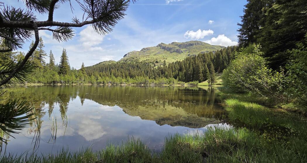 Bergsee Alp Flix
