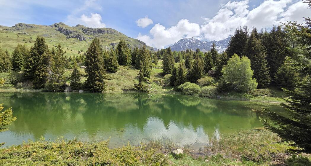 Bergsee