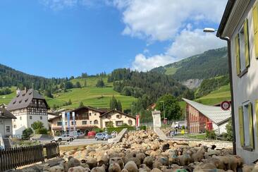 Schafschur