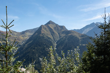 Péz Regina