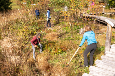 20231014 Moorpflegetag Brambrüesch WWF (42)