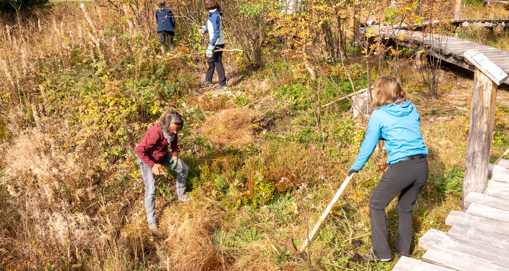 20231014 Moorpflegetag Brambrüesch WWF (42)