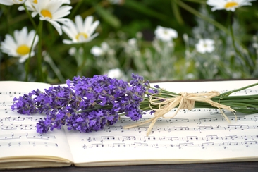 Konzert Sommer (Pixabay)