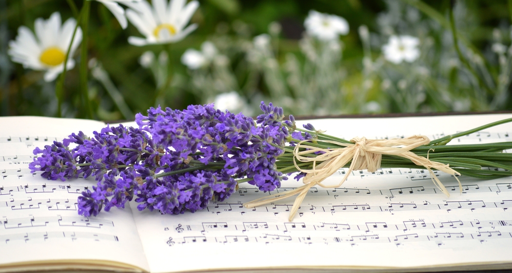 Konzert Sommer (Pixabay)