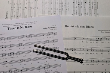 ENsemble 2026 fluors
