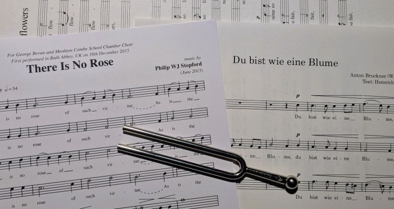ENsemble 2026 fluors