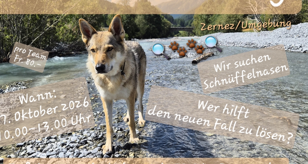SOKOWuff Oktober