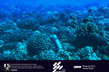Ocean darkening flyer