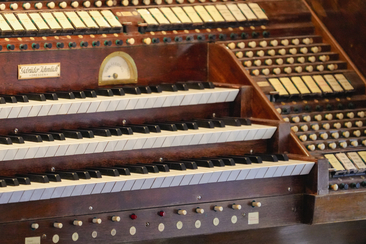 Orgel