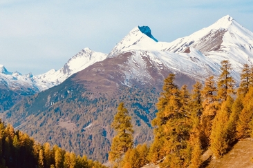 Bild1