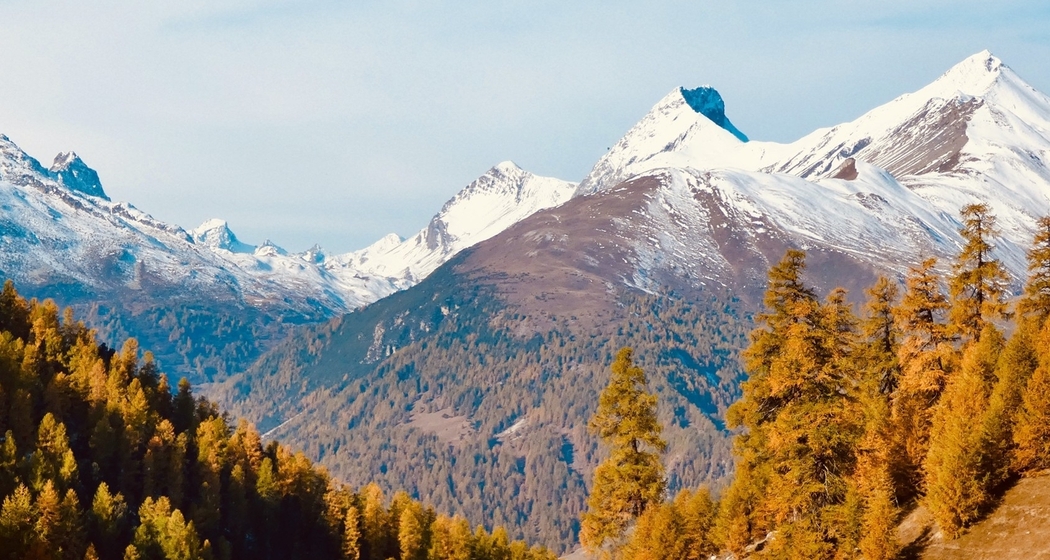 Bild1
