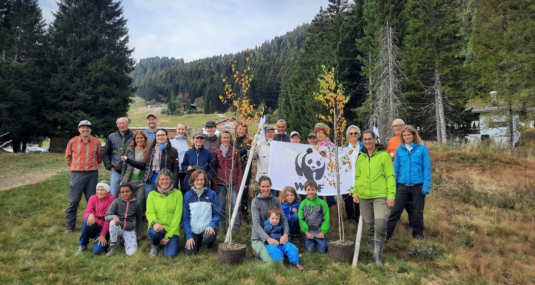 Bild Moorpflegetag Brambrüesch WWF