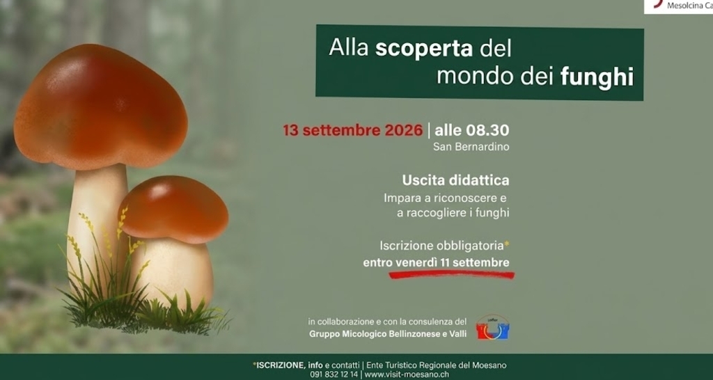 mondo dei funghi
