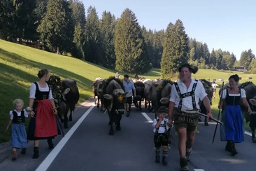 Alpabzug Stavonas-Pradas