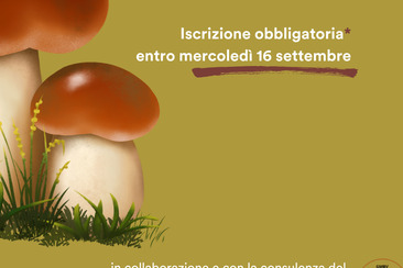 Alla scoperta del mondo dei Funghi social