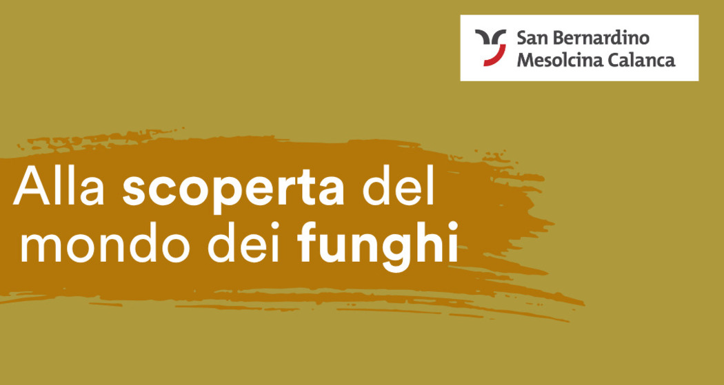 Alla scoperta del mondo dei Funghi social