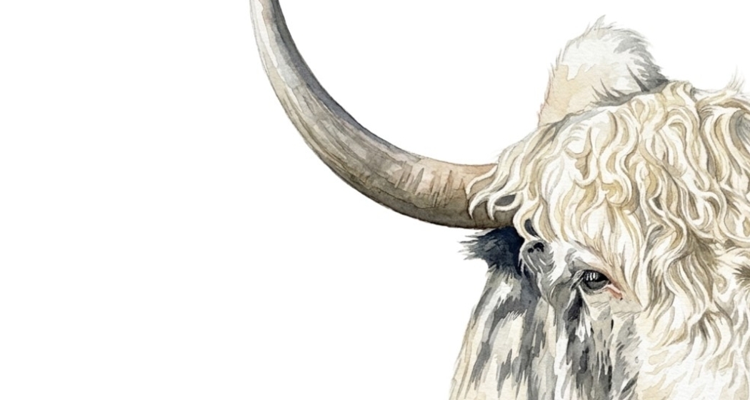 Yak
